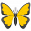 Ulysses 13