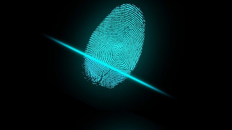 A fingerprint