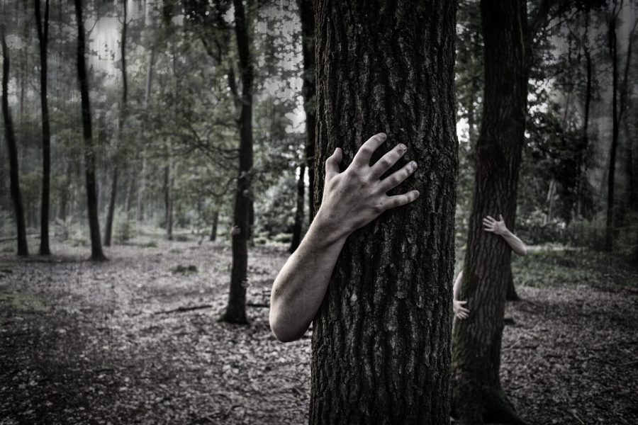 Photo of creepy hands reaching around trees