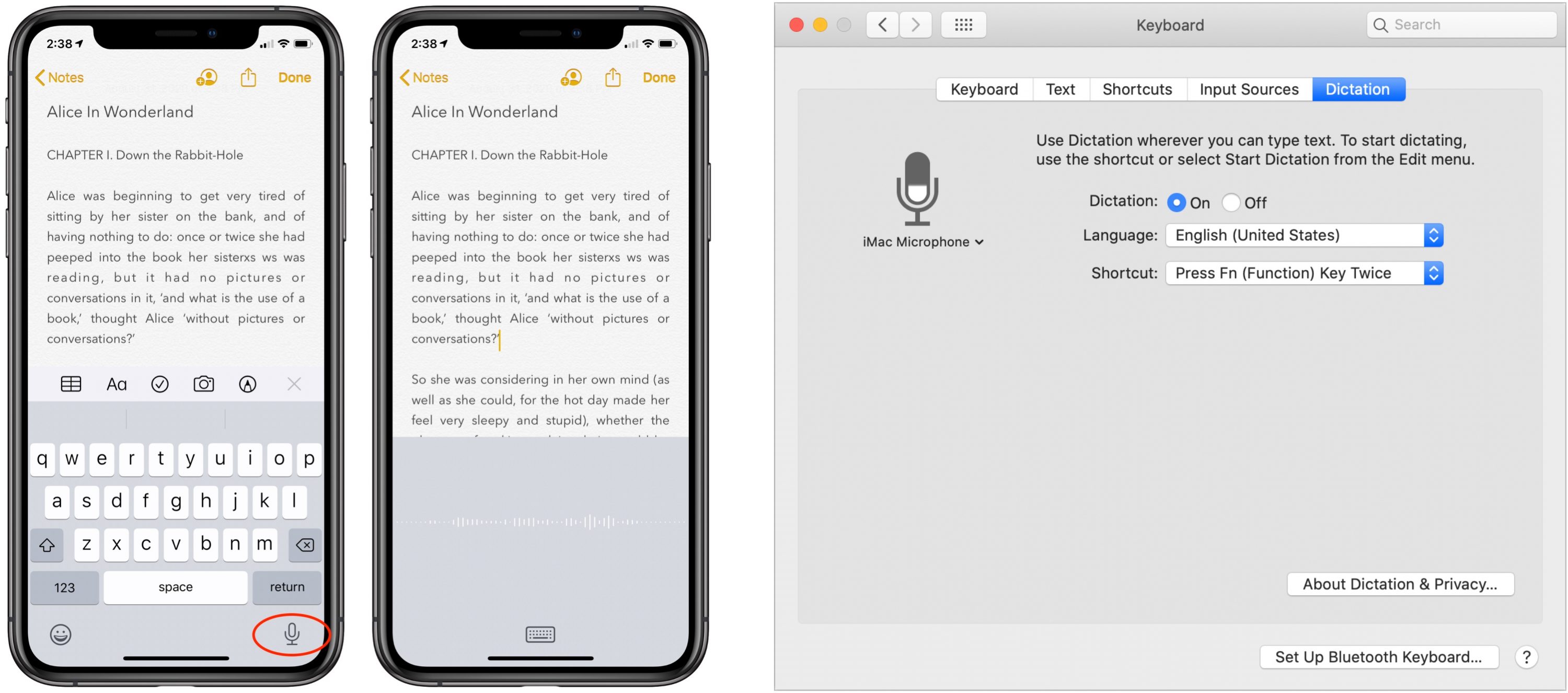 voice command for word on mac