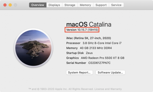 search for updates on mac
