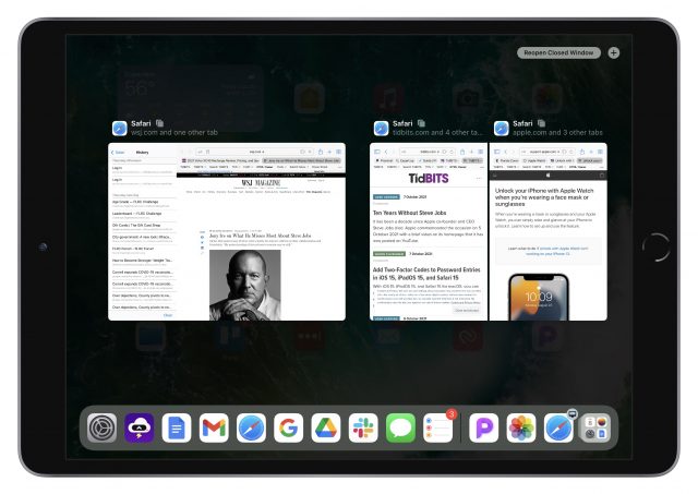 Safari windows in the iPadOS 15 App Switcher
