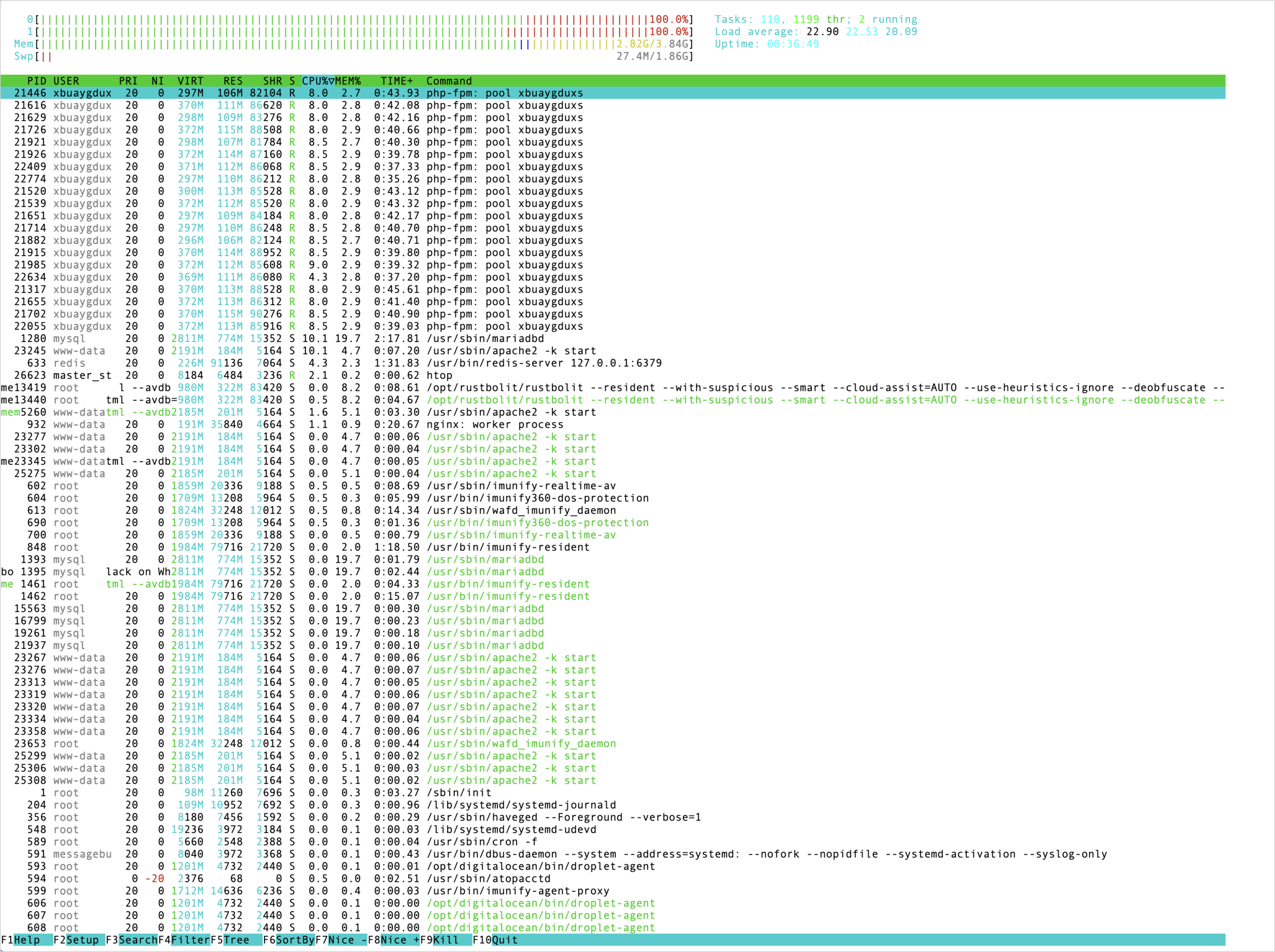 htop screen