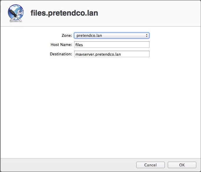 Figure 1: Enter the alias name for your file server in the Host Name field.
