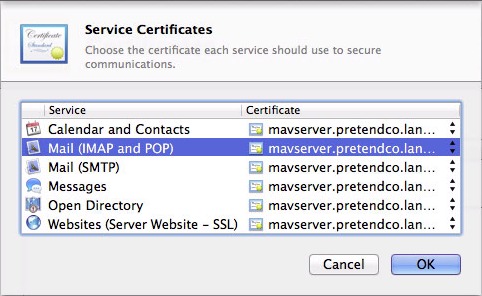 Figure 3: Make sure your self-signed certificate is selected for Mail (IMAP and POP) and Mail (SMTP).