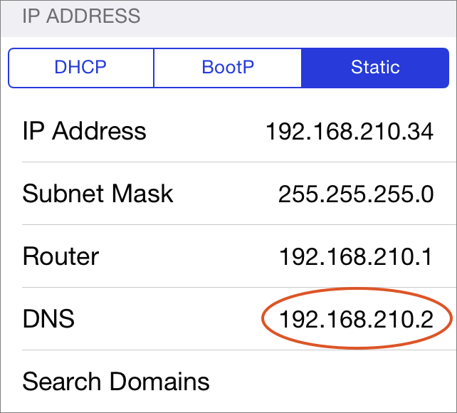 Figure 7: If necessary, change the DNS setting the iOS device so it can see your server on the local network.