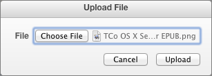 Figure 14: Click Choose File to navigate to the file you want to upload; once the filename shows in the File field, click Upload.