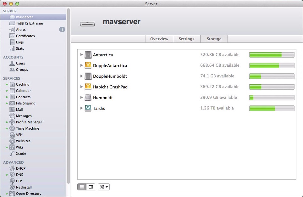 Figure 2: Check the amount of free space on all mounted drives regularly in Server’s storage screen.