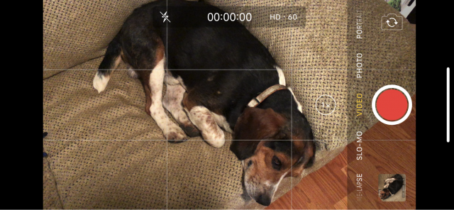 De app Camera voordat een filmpje wordt opgenomen