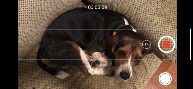 The Camera app during video recording