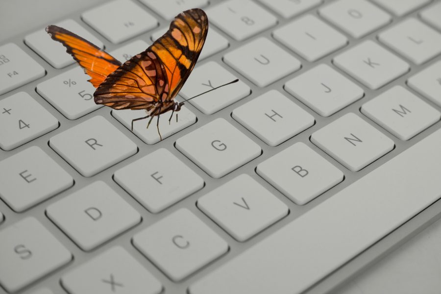 Butterfly on a keyboard