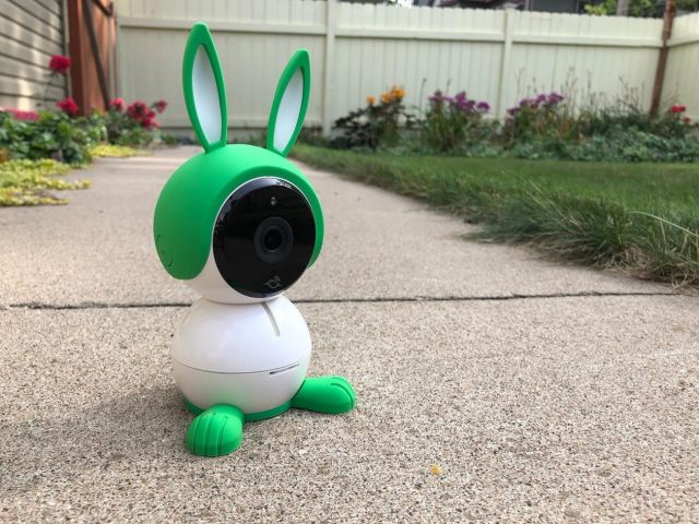 The Arlo Baby dressed up as a green bunny.