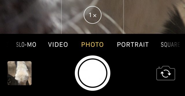 The Zoom button in Camera.