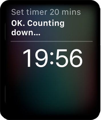 A Siri timer on the Apple Watch