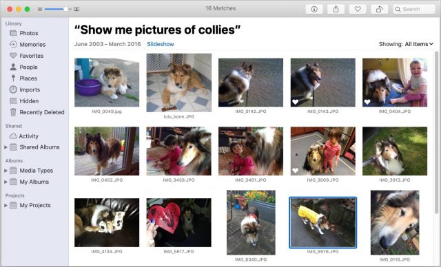 Searching for collies in Photos