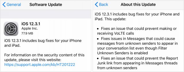 Screenshot of iOS 12.3.1 update notes