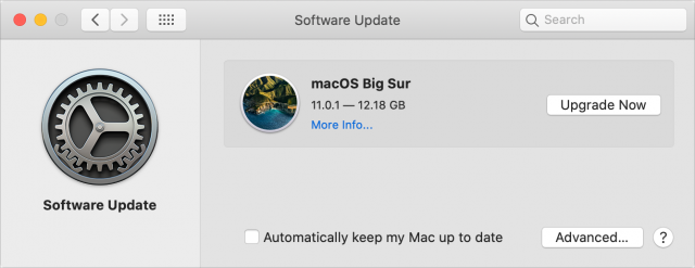 Upgrade naar Big Sur in Software-update