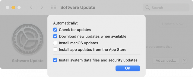 Software Update preference pane in Big Sur