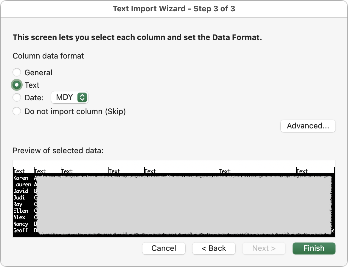 Excel Text Import Wizard Step 3