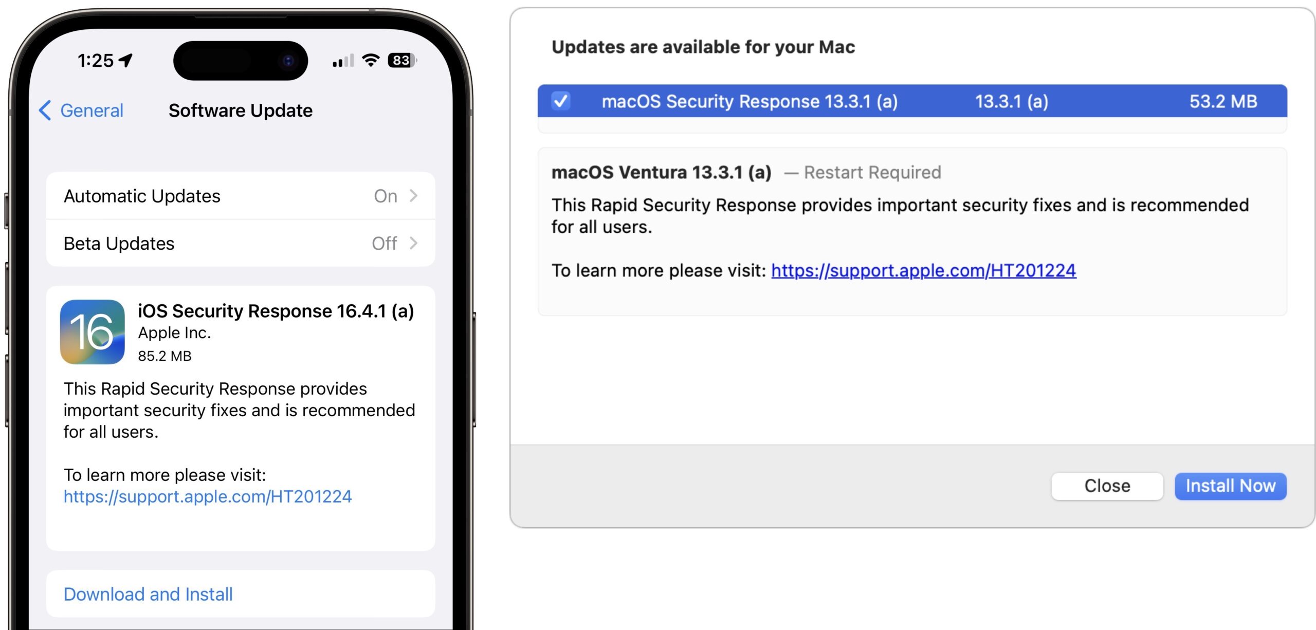 Release notes for Rapid Security Responses, such as they are