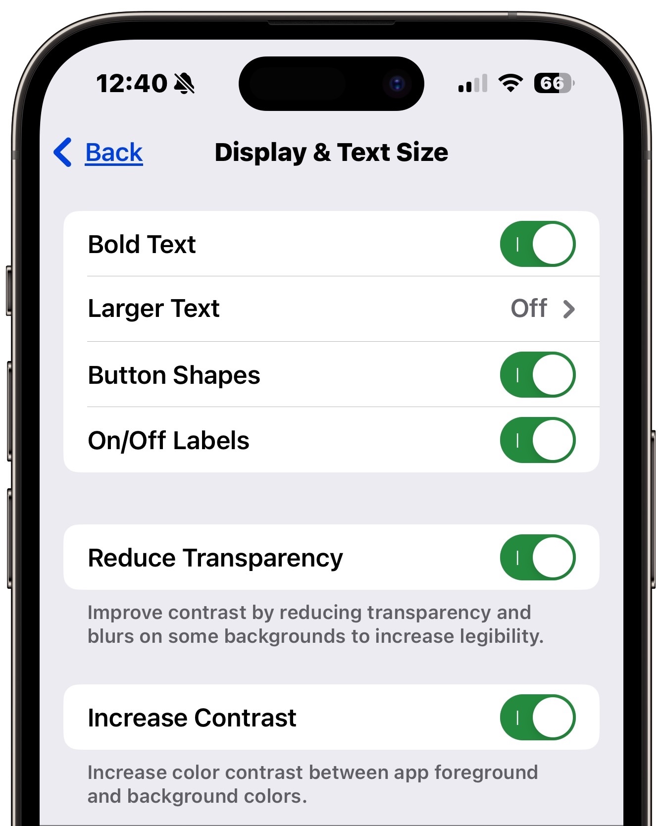 Display & Text Size accessibility settings