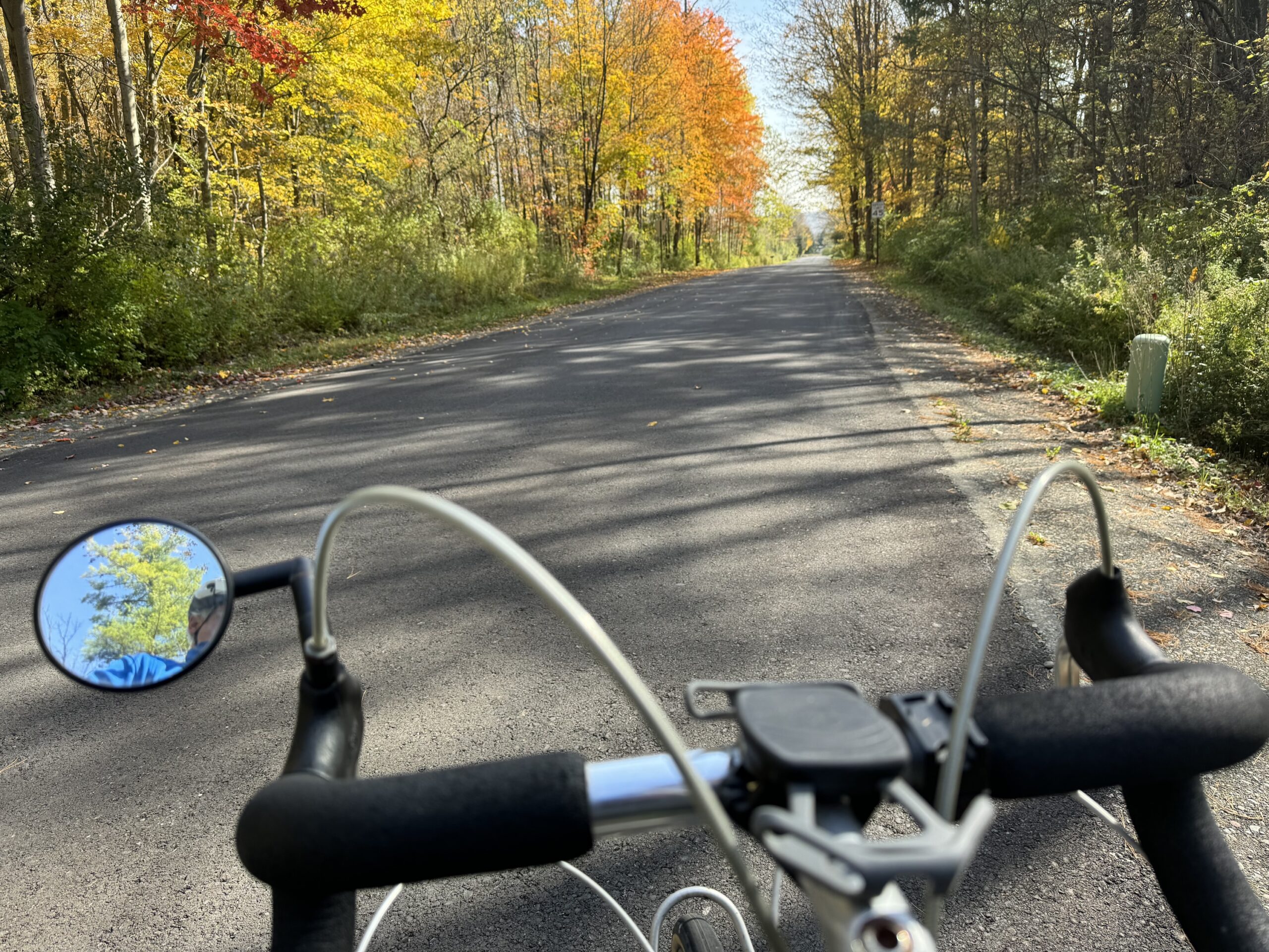 Fall scene over bike handlebars